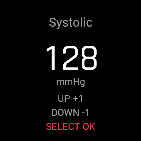 Blood Pressure Log, fenix 8 47 mm, screen 2