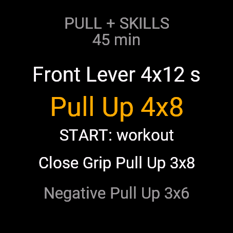 Calisthenics Pro, fenix 8 47 mm, screen 1