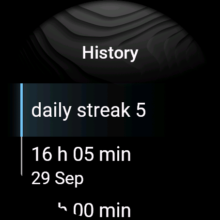 Fasting Timer, fenix 8 47 mm, screen 2