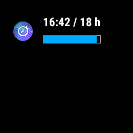 Fasting Timer, Forerunner 255, glance