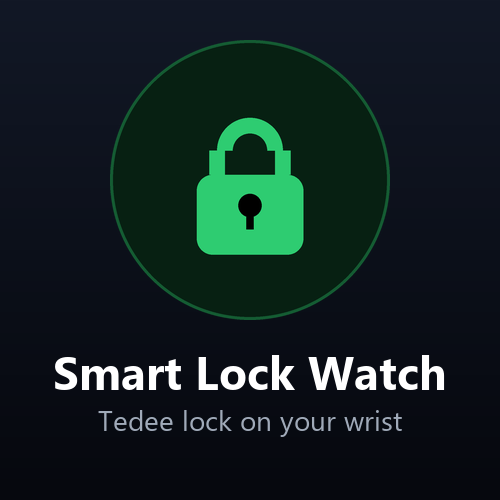 Smart Lock Watch icon