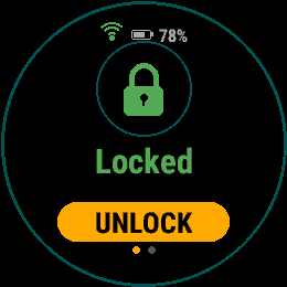 Smart Lock Watch, Forerunner 255, screen 1